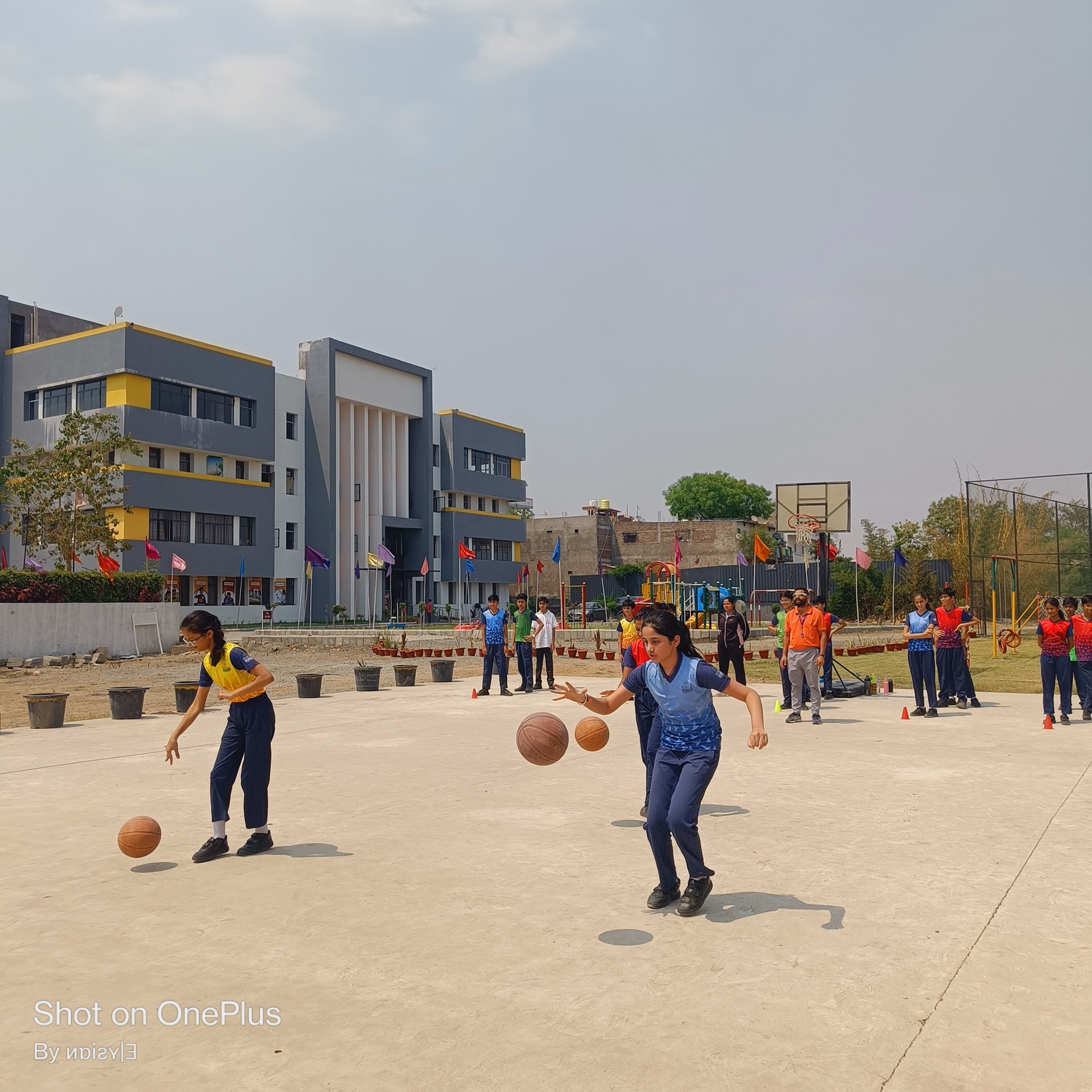 Basket Ball